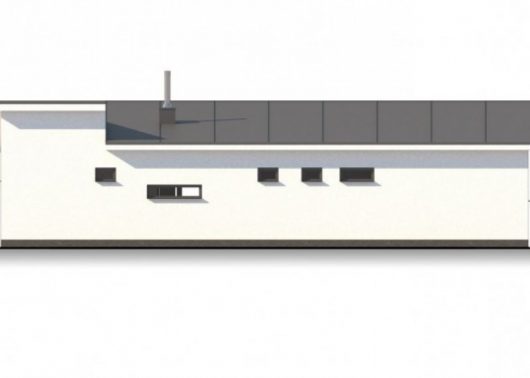 Фасад одноэтажного дома с террасой P24 - вид сзади