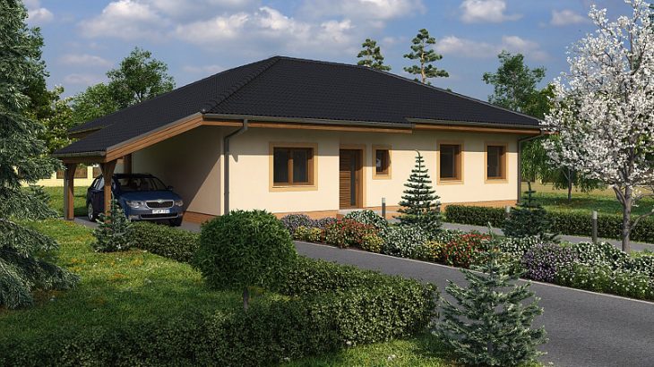 Проект одноэтажного дома с террасой и навесом P09 - фото №1