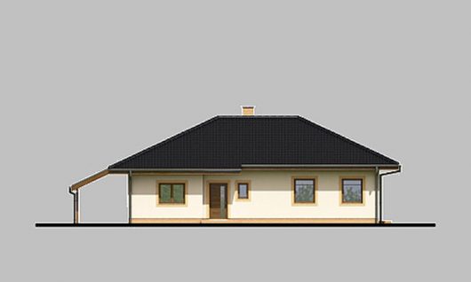 Фасад одноэтажного дома с террасой и навесом P09 - вид спереди