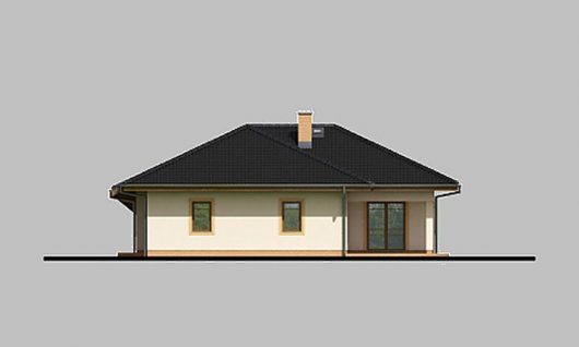 Фасад одноэтажного дома с террасой и навесом P09 - вид слева