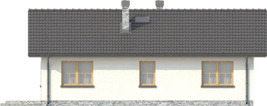 Фасад одноэтажного дома с террасой P143 - вид сзади