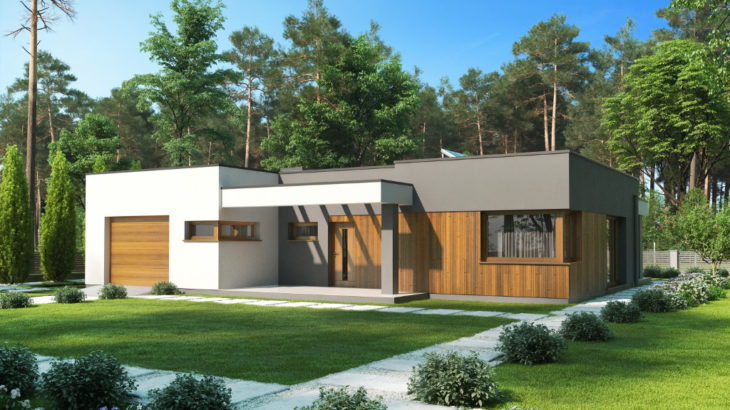 Проект одноэтажного дома с террасой и гаражом P162 - фото №3